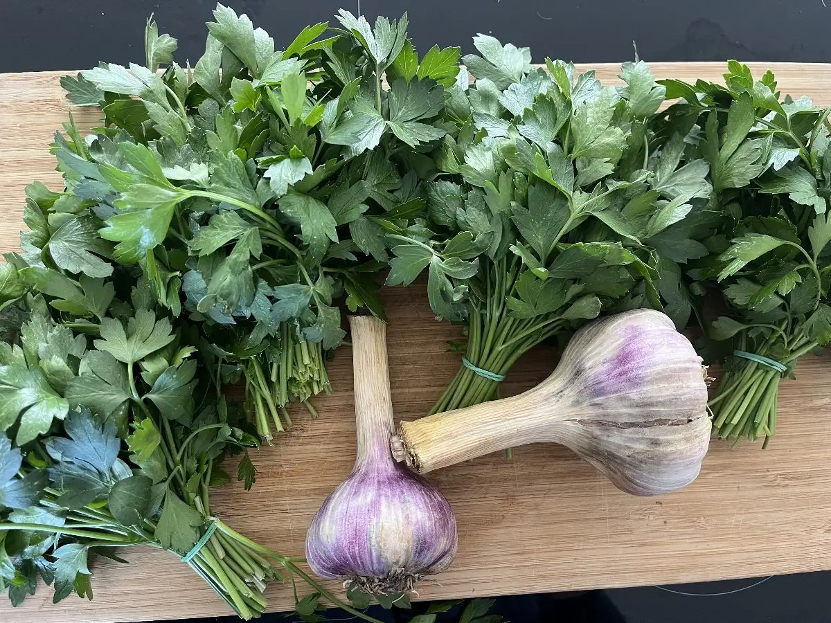 Ail Persil -Fleur de Sel Aromatisée